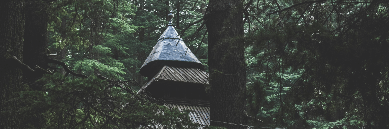 An overview of Hadimba Devi temple in Old manali engulfed by pine trees, making it one of the Best Places to Visit in Manali
