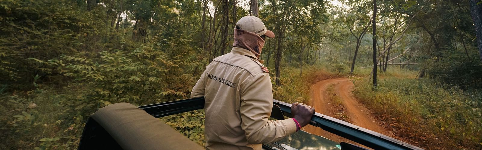 A view from the jeep of a guide standing up on the jeep Safari - Trees N Tigers, Tadoba.