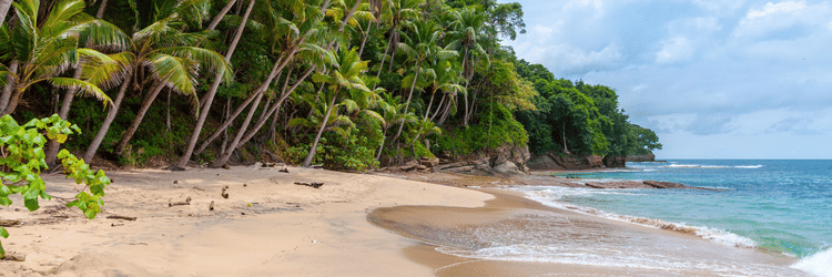 A sandy beach next to a dense line of palm trees and green forest under a partly cloudy sky.