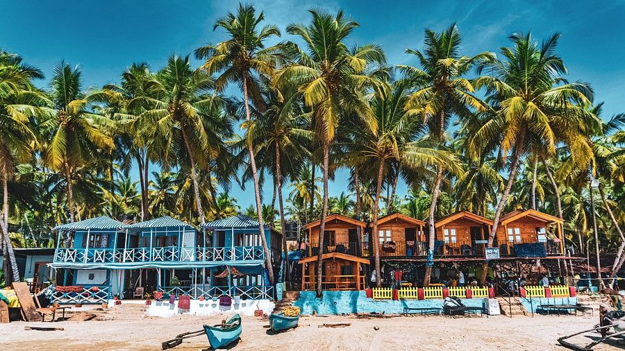 Beach in goa with several boats lining up and palm tress shadowing the beach