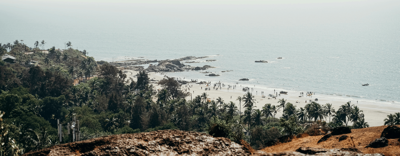 A high-angle view of a lush green coastline meeting the ocean under a pale sky.
