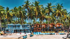 Beach in goa with several boats lining up and palm tress shadowing the area 