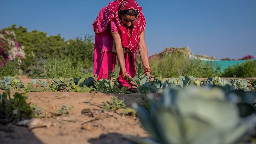 a staff tending to plants in the garden - Karma Lakelands.
