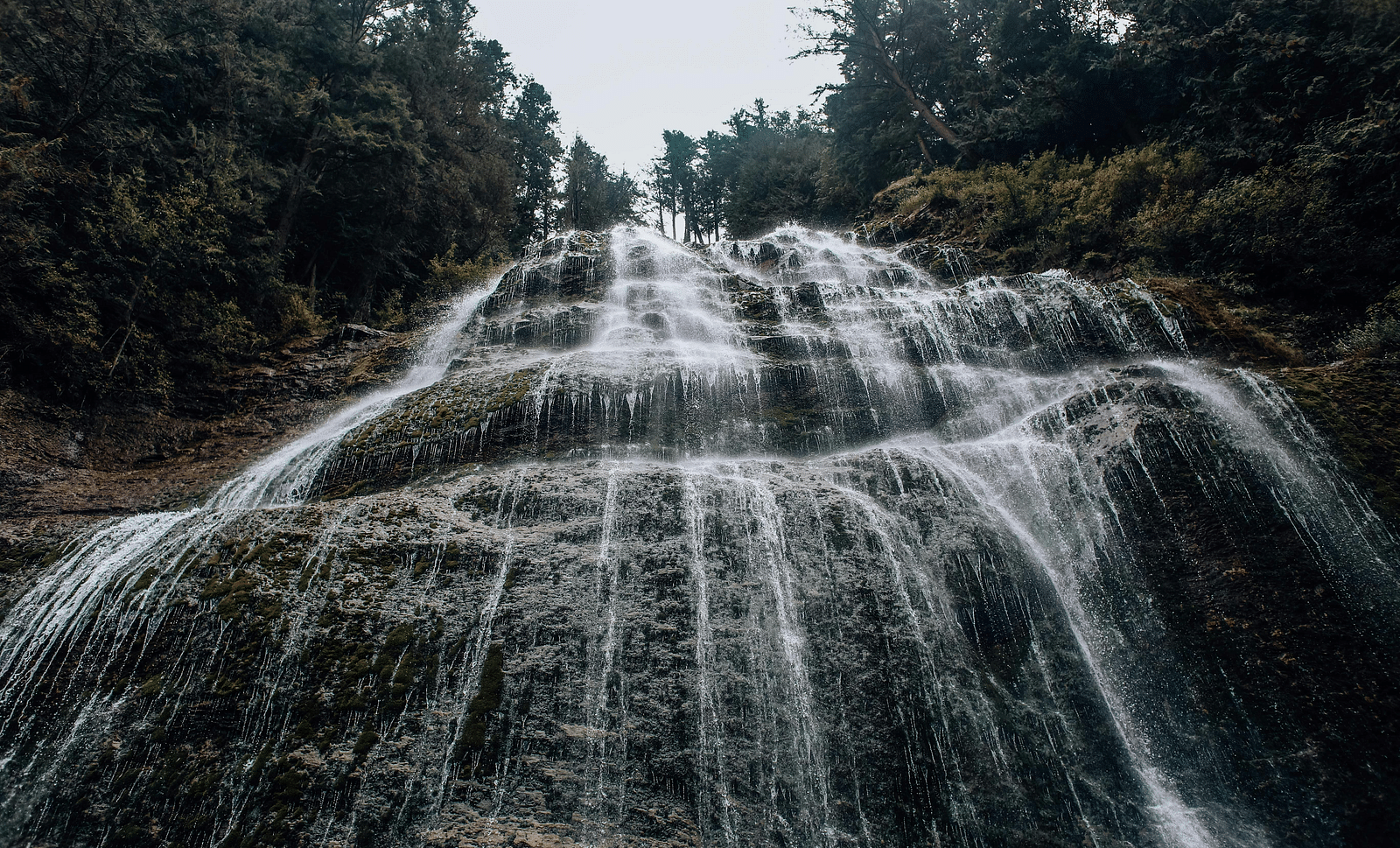 image of water dripping through the rocks surround by lush green trees on either sides