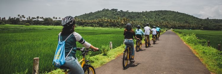 people riding their bicycles