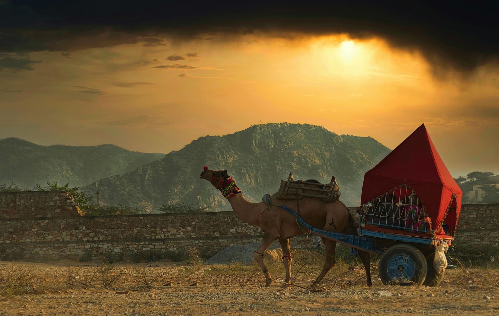 A camel pulling a small cart with a red covering across a dry, open landscape.