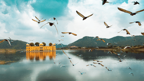 Jal Mahal, a famous tourist place in Jaipur 9
