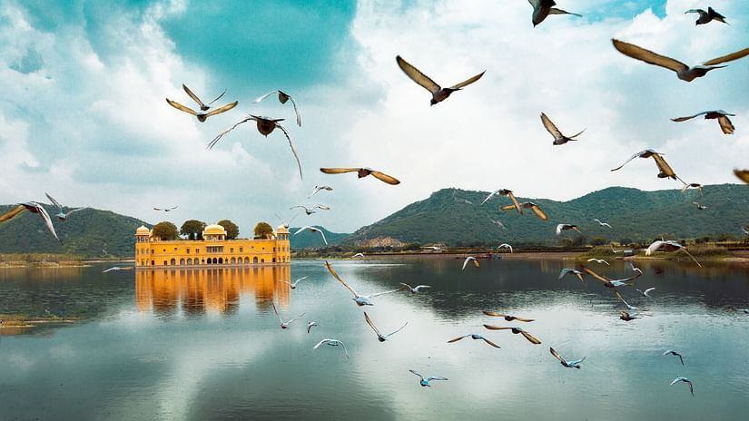 Jal Mahal, a famous tourist place in Jaipur 9
