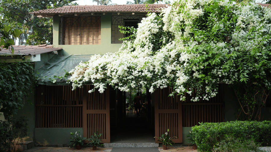 The building facade of  Oceanature Resort, Alibaug. with white flowering vines cascade over a wooden entryway