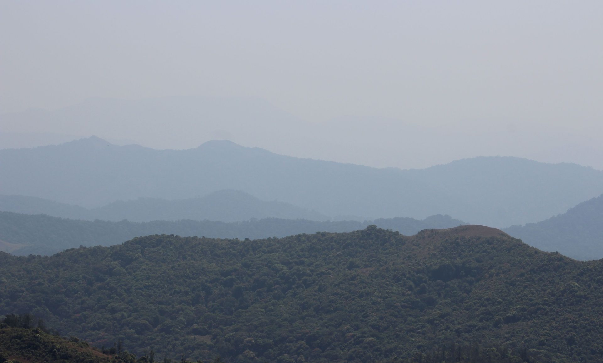 Misty forested hills under a hazy sky in Coorg.