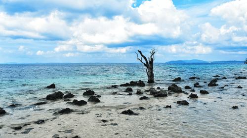 Wandoor Packages in Andaman and Nicobar Islands