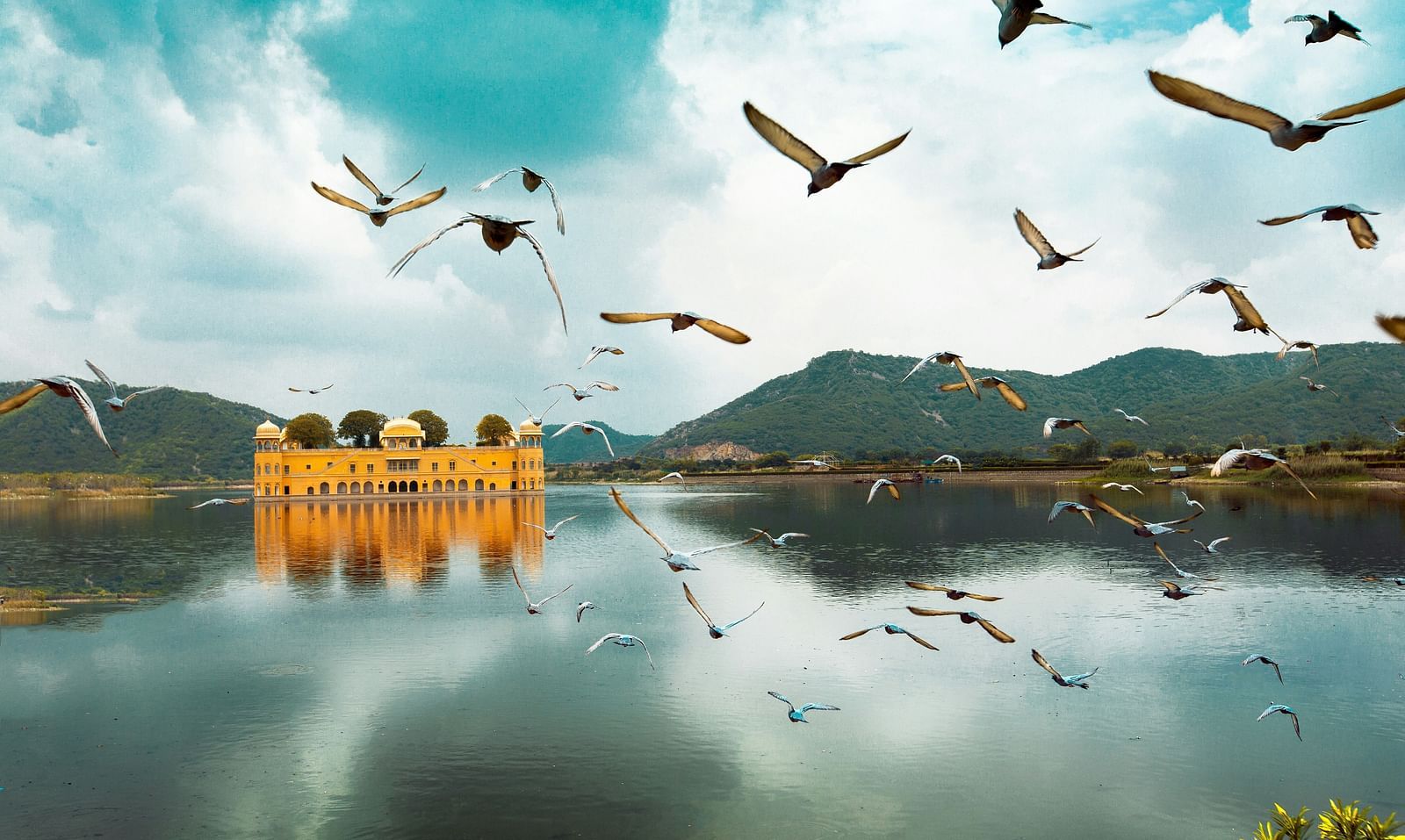 a beautiful image of the jal mahal at jaipur