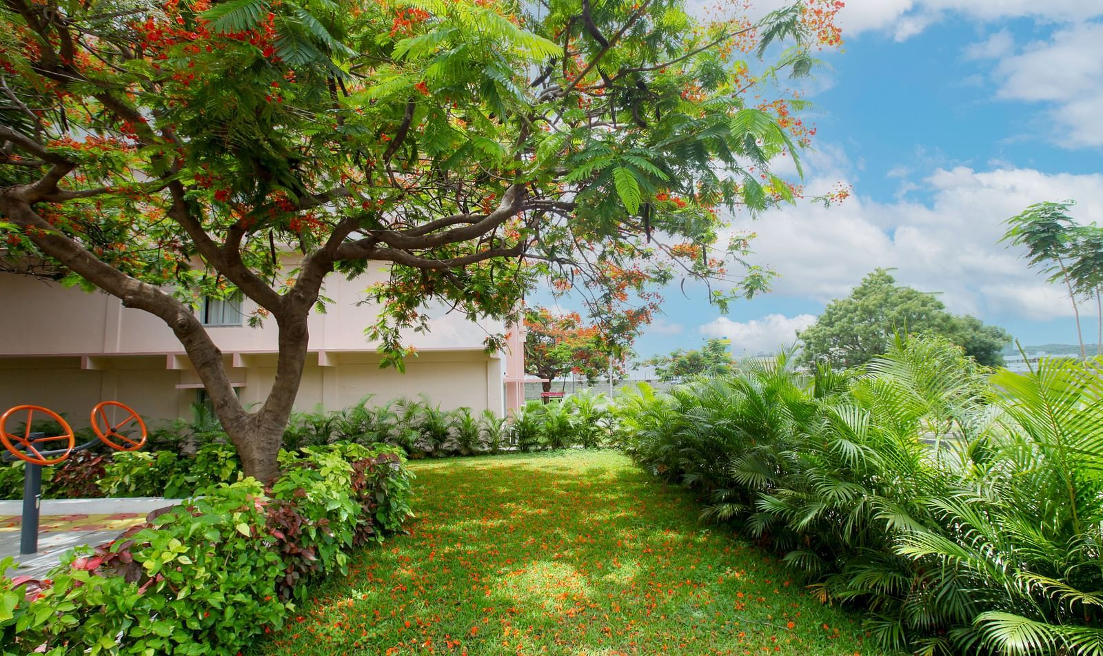 A well-carpeted lawn, featuring trees and shrubs at Greens Inn - Lush Hotel Grounds in Hyderabad.
