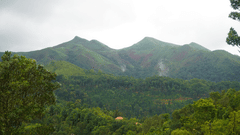 lush green mountain peak after a rain 
