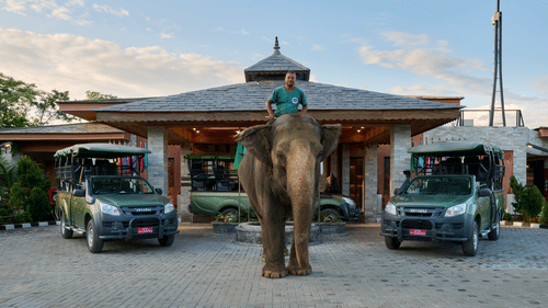 Hotel entrance with safari jeeps and an elephant, offering a unique experience - Royal Tulip, Chitwan
