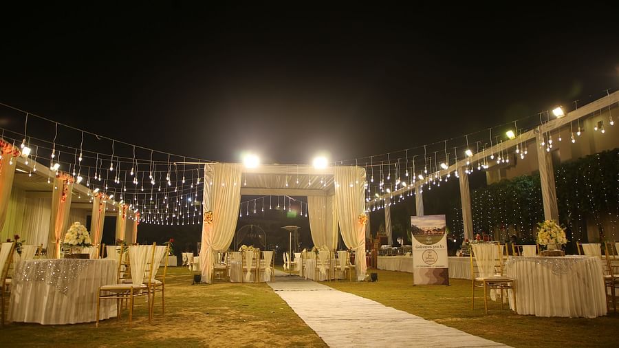 Party Lawn 2