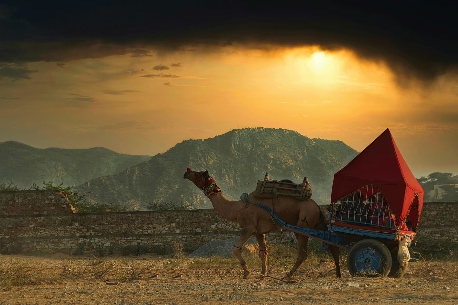 A camel pulling a small cart with a red covering across a dry, open landscape.
