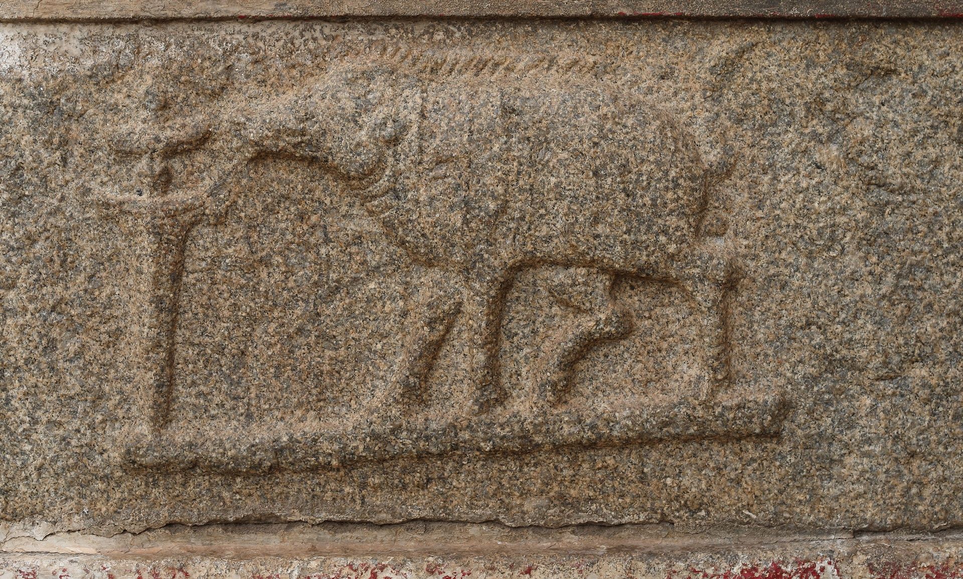 Carving of Varaha, boar incarnation of Vishnu, Hampi.