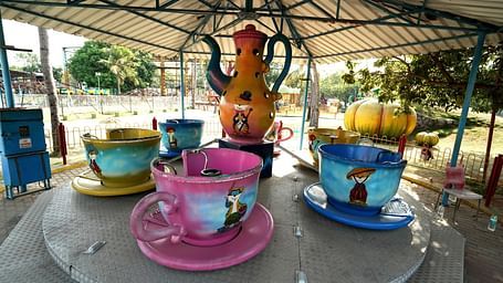 Tea cup ride amusement park 