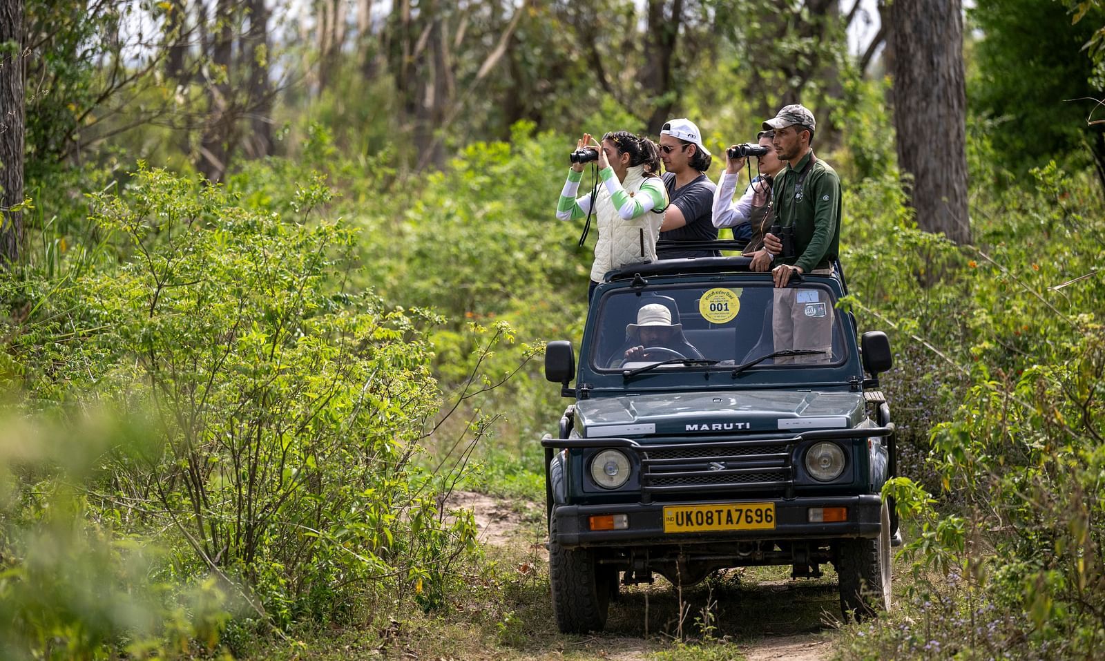 People watching the fauna through binoculars during a safari - Aalia Jungle Resort & Spa