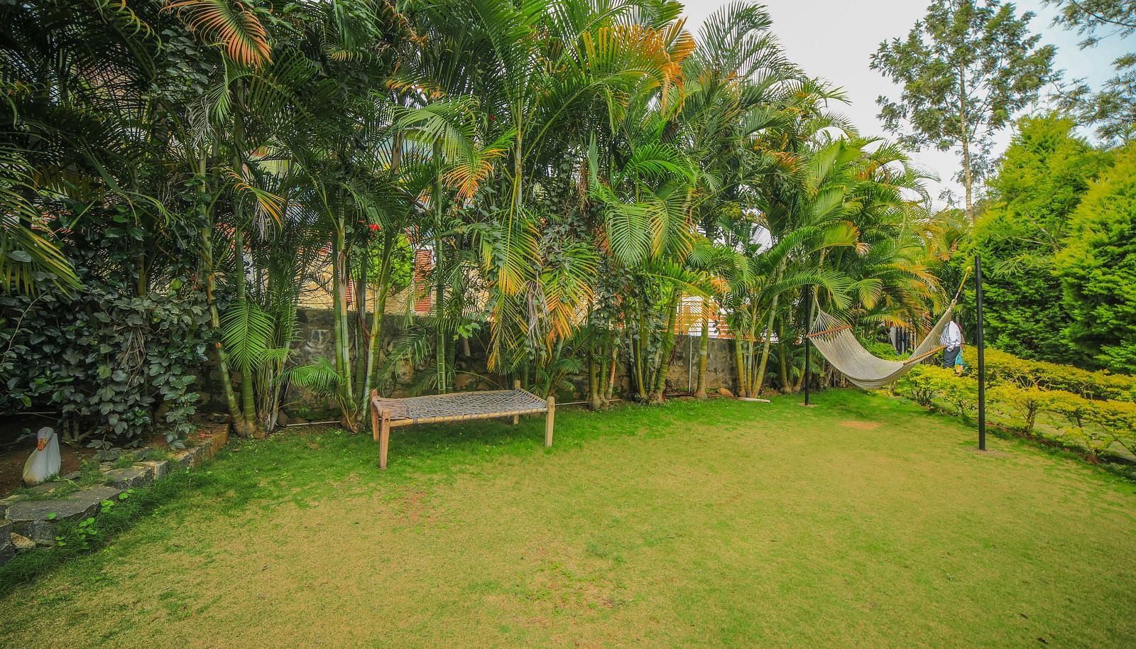 Image of an open area with a bench and trees behind it at WOW Bison Woods.
