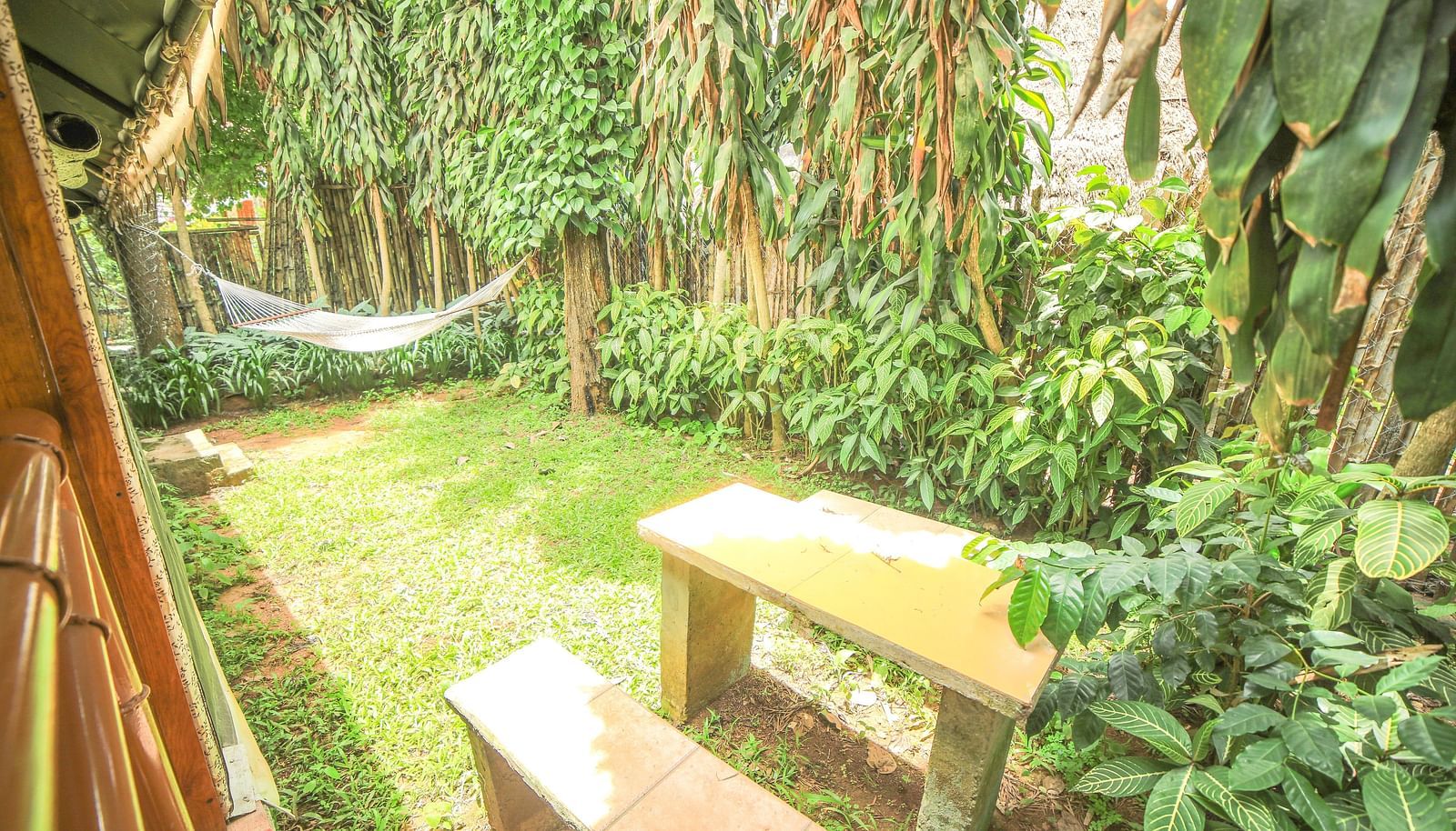Image of an open area with a seating area surrounded by plants at WOW Bison Woods.