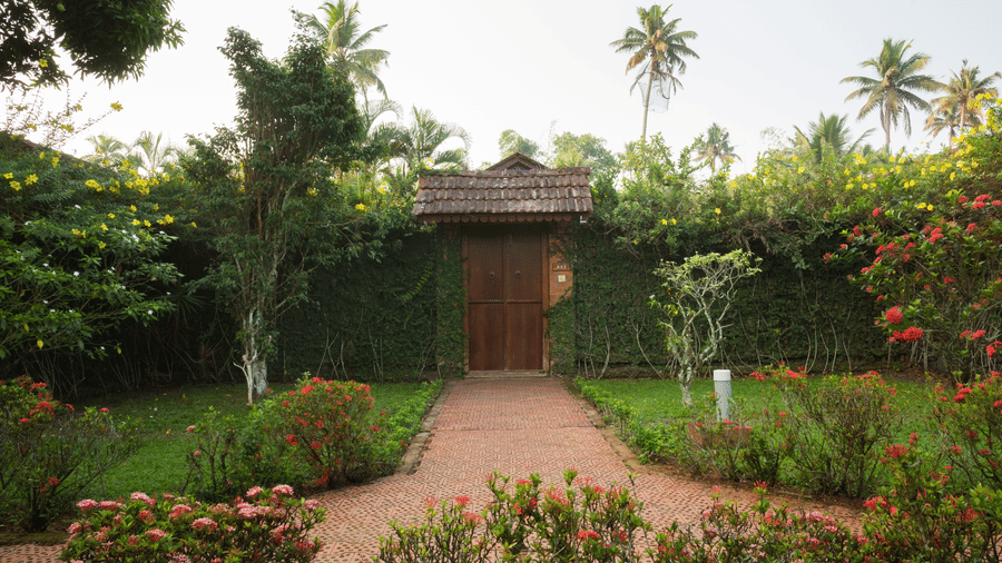 IMG 3485 February 18 2022 MD Harish Kumar