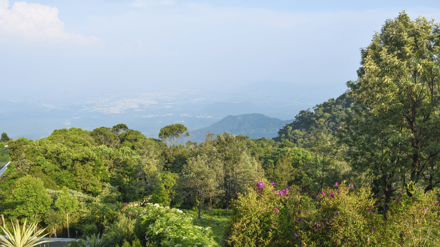 View of the forests and the hills from Ibex Resorts, Coonoor (Tapas).