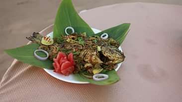 Cafe in Konark 2, Lotus Eco Beach Resort, Hotels in Konark 