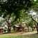 Young Island Resorts - Srirangapatna Srirangapatna Wood House Young Island Resorts Srirangapatna 2