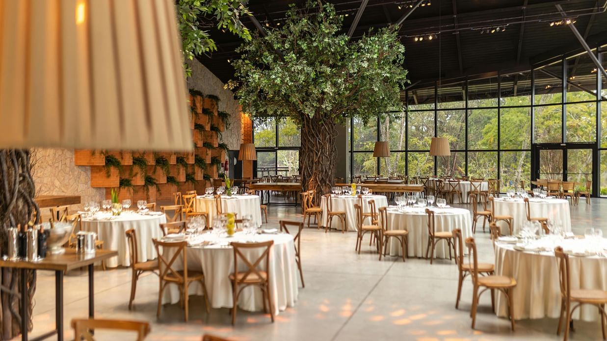 A spacious, modern restaurant with natural light, high ceilings, and trees integrated into the design.