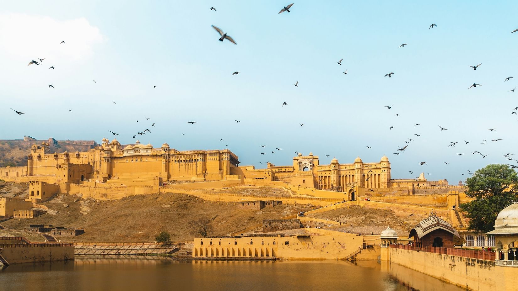 birds flying over a fort