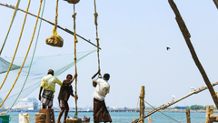 firos-nv-XX5kFG7TGho-unsplash