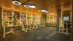 Modern hotel fitness centre equipped with treadmills, weight machines, benches and other workout equipment.
