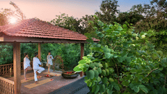 Open-air yoga pavilion at Aramness, surrounded by lush green trees, where guests and an instructor practice yoga at sunrise, evoking tranquility and connection with nature.
