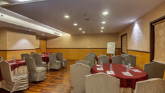 Imperial V - our conference hall in Delhi