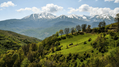 a big lush green garden on a mountain