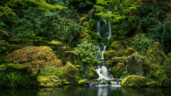 An overview of a waterfall cascading down to a waterbody with forest cover