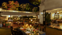 Under The Mango Tree Thumpnail