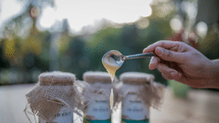 A close up shot of 3 sealed jars of honey with a bowl of honey being poured by a person - Karma Lakelands.