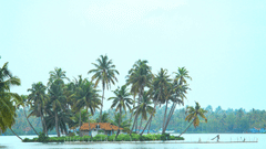 a far out view of a small island in a lake with coconut trees and a small house in it