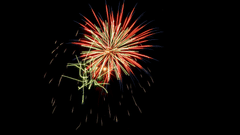 Bright fireworks bursting against a dark night sky.