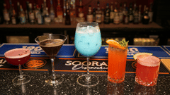 Three colorful cocktails placed on a bar counter at Park Plaza Ludhiana with a backlit liquor shelf and Sooraj branding visible in the background.
