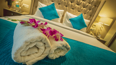 a close-up view of the bed with blue duvets