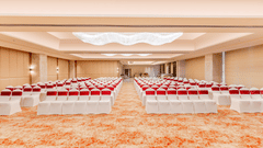 A banquet hall at Sarovar Premiere Alwar with rows of chairs and a patterned carpet on the floor.