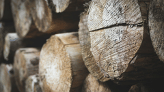 Close-up view of timber logs showing natural grain and texture.