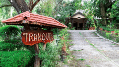 Tranquil Full Res 2 7 of 8