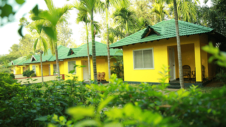 Palm Era Cottages, Coorg Coorg Exterior Palm Era Cottages Coorg 3