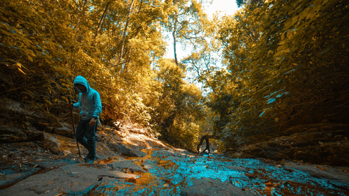 A person walks on a path in a forest with colorful trees and a puddle on the ground.
