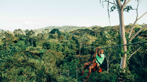 A person is on a zipline above a lush green forest.
